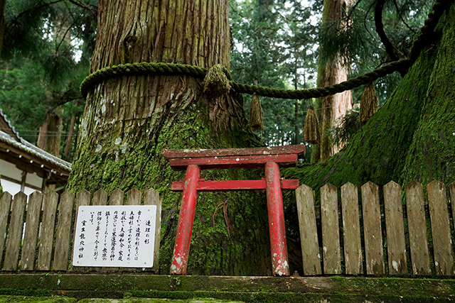 パワースポットの室生龍穴神社へ行ってきた！